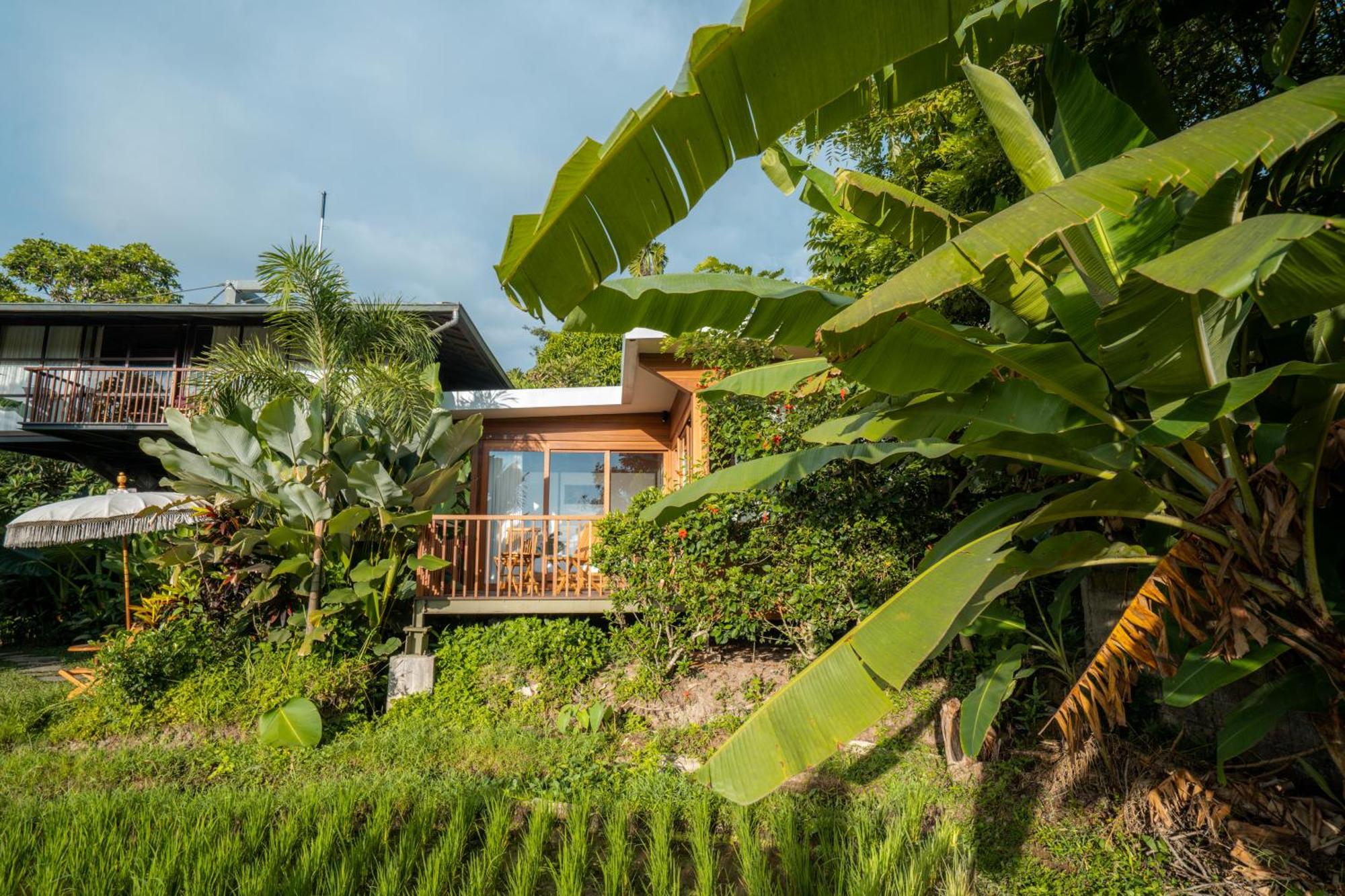 Gruen Ubud Екстер'єр фото