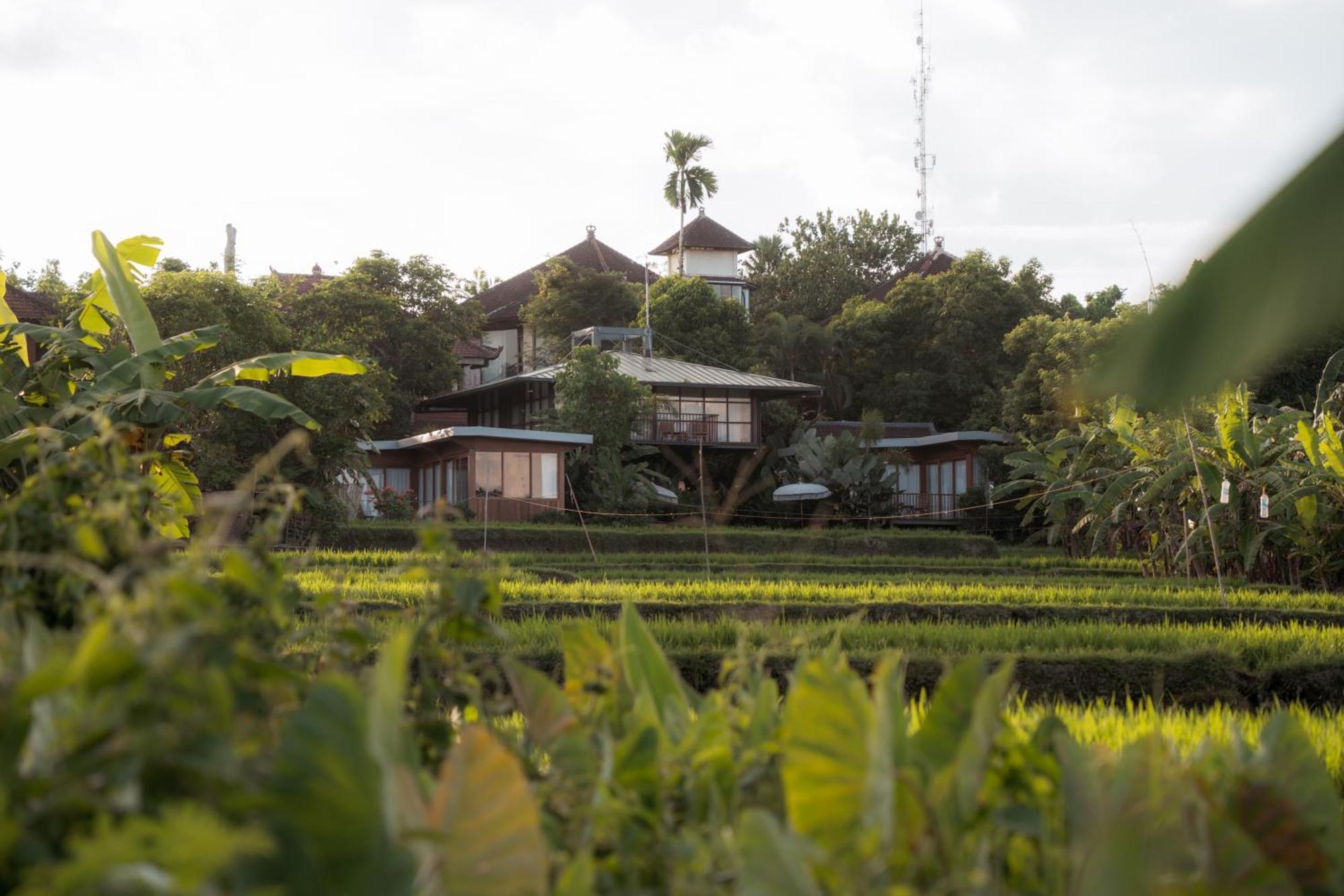 Gruen Ubud Екстер'єр фото