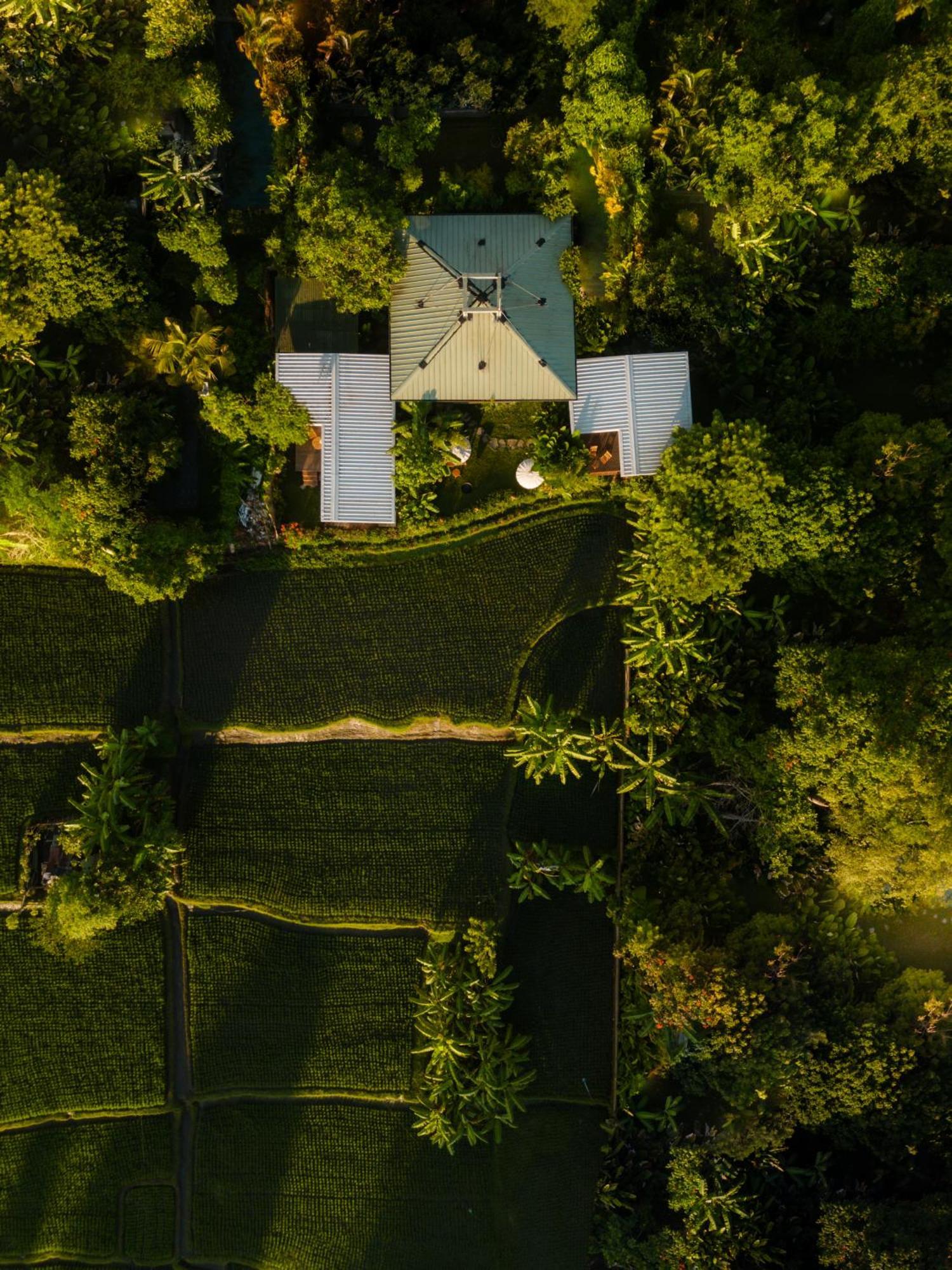 Gruen Ubud Екстер'єр фото