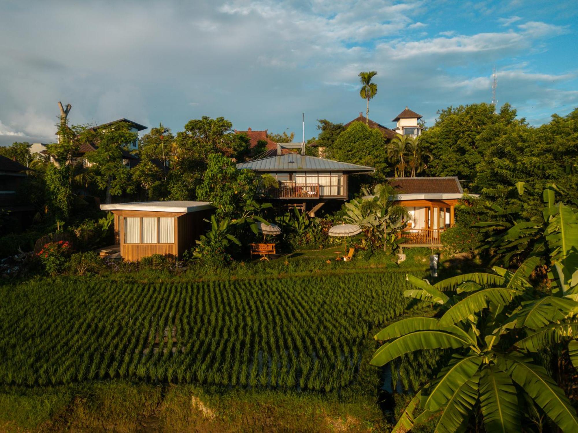 Gruen Ubud Екстер'єр фото