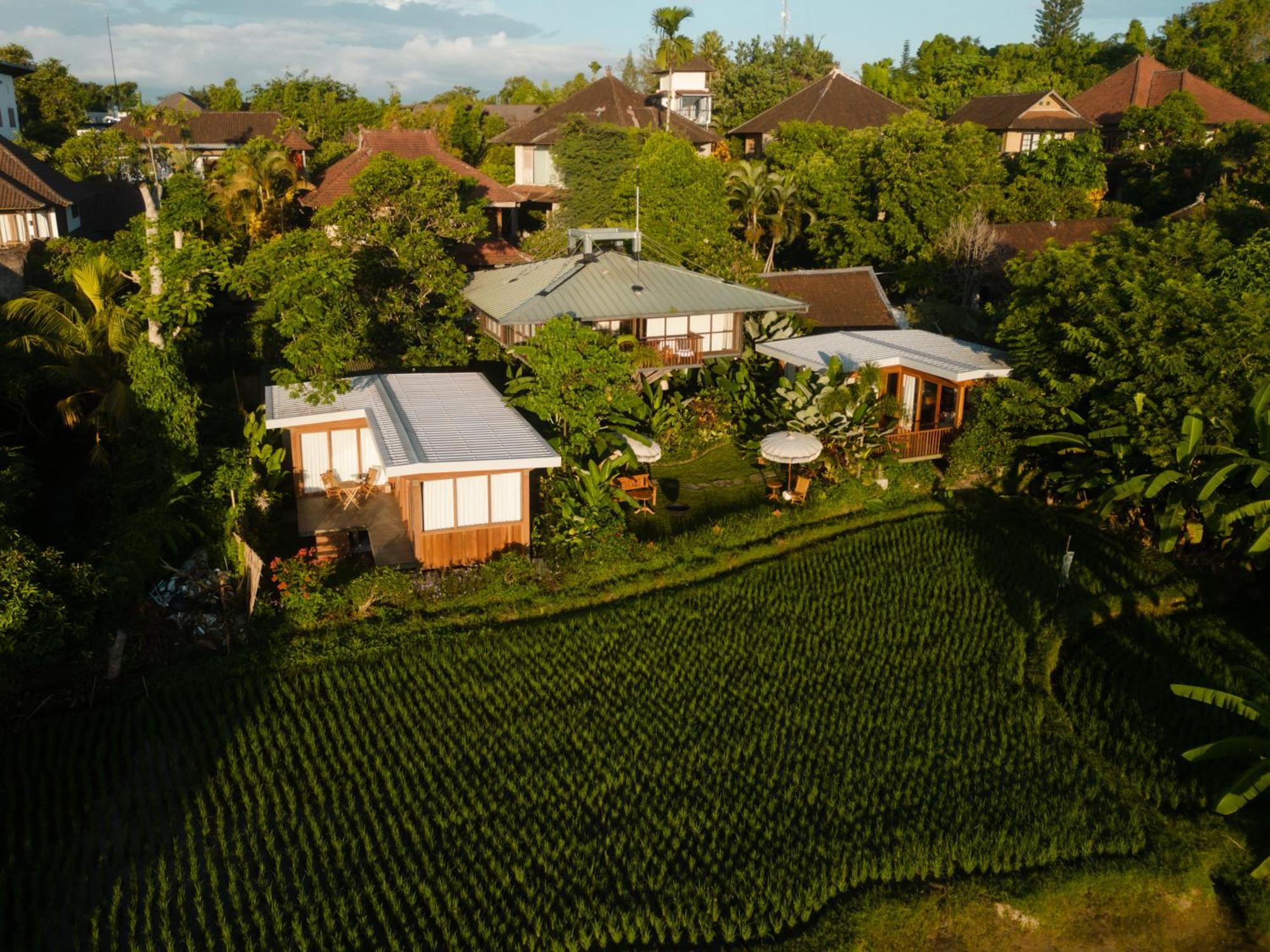 Gruen Ubud Екстер'єр фото